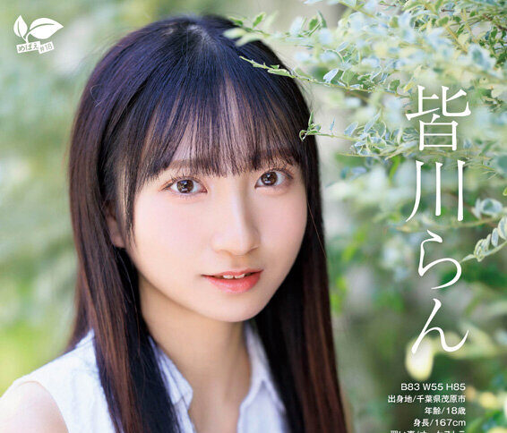 皆川らん デビュー